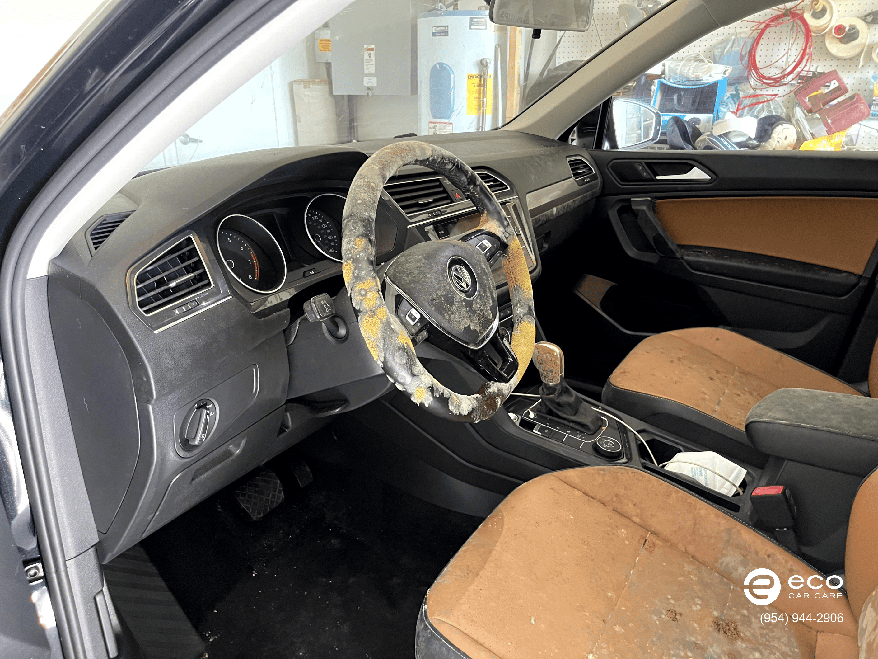 car mold removal severe