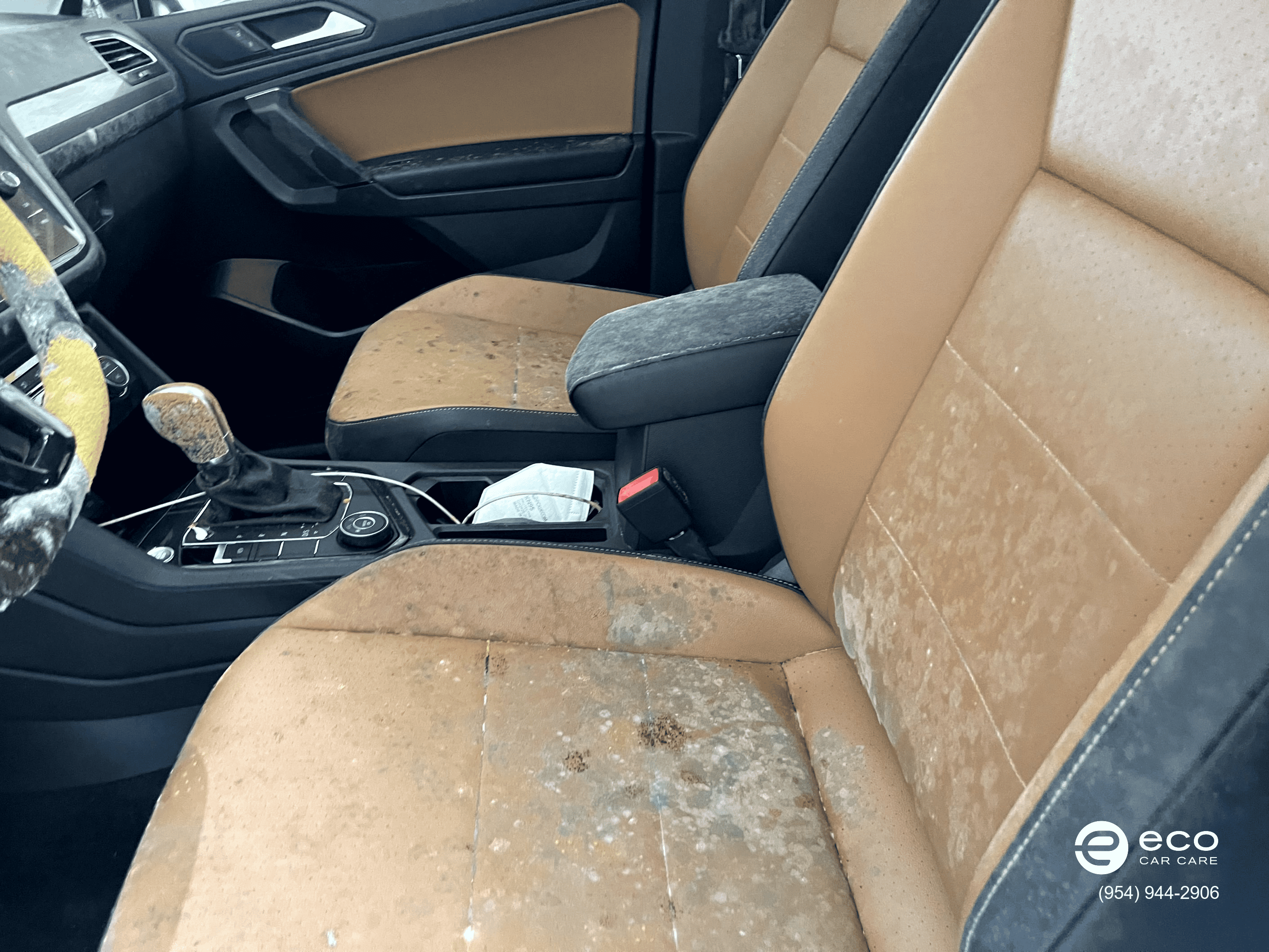 professional car mold removal