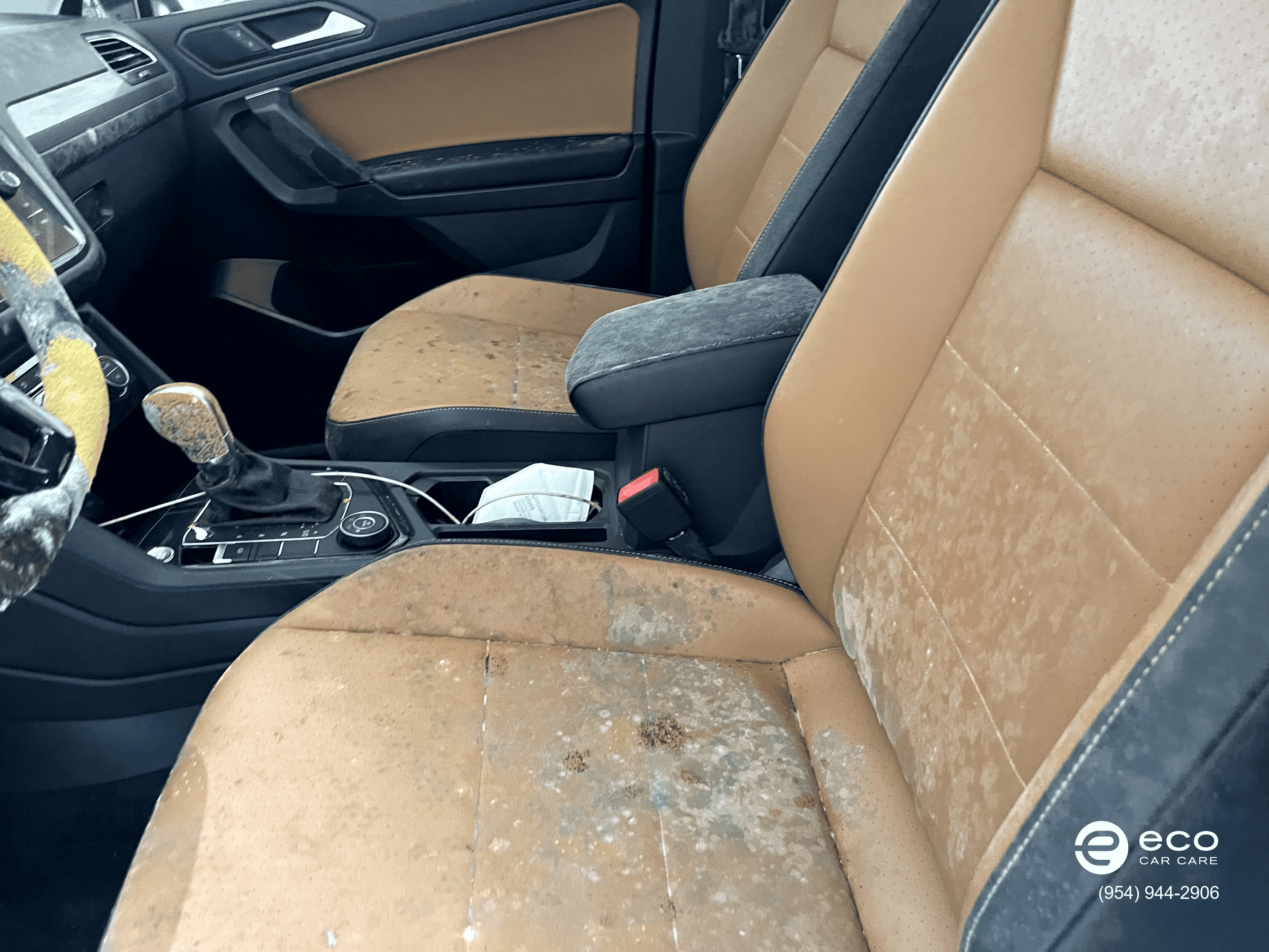 car mold removal near me