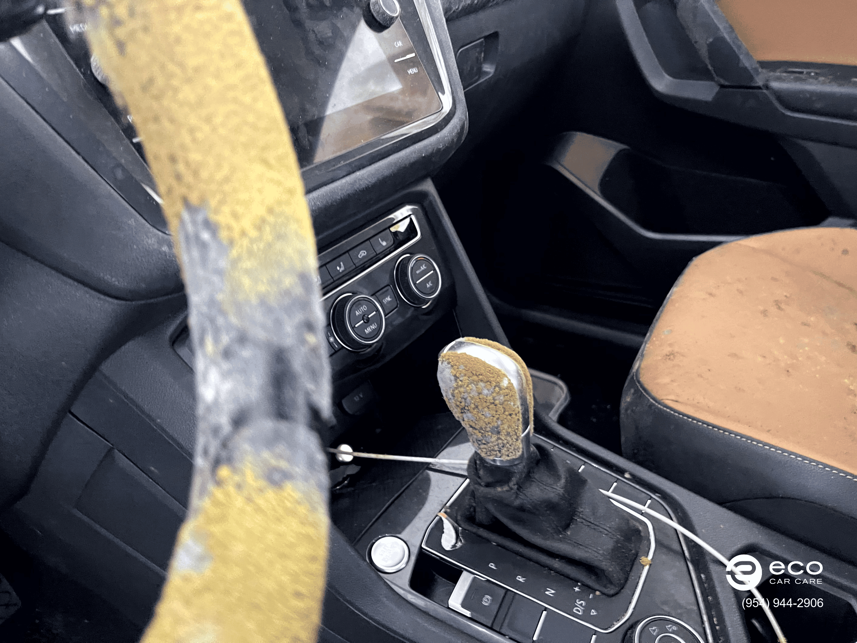 car mold removal and remediation photo collection