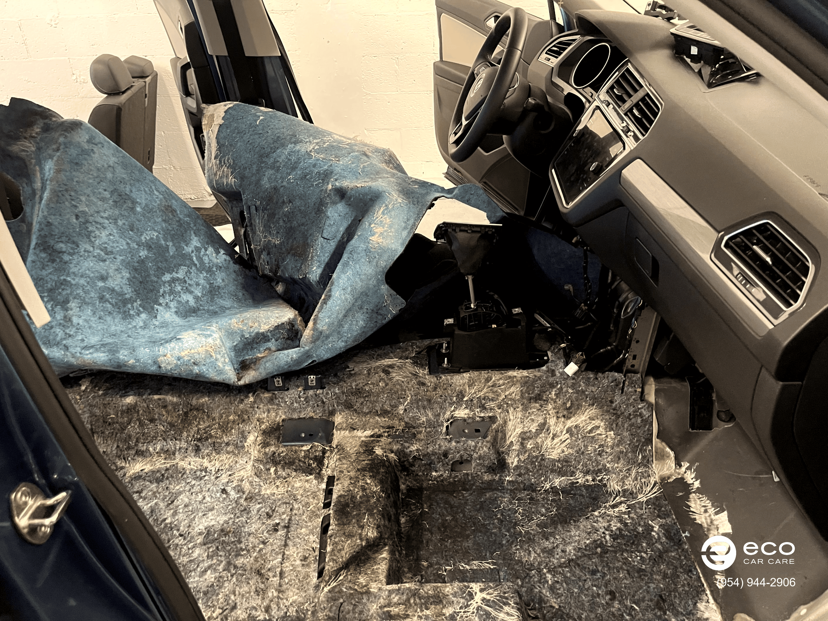 car mold removal and remediation photo collection