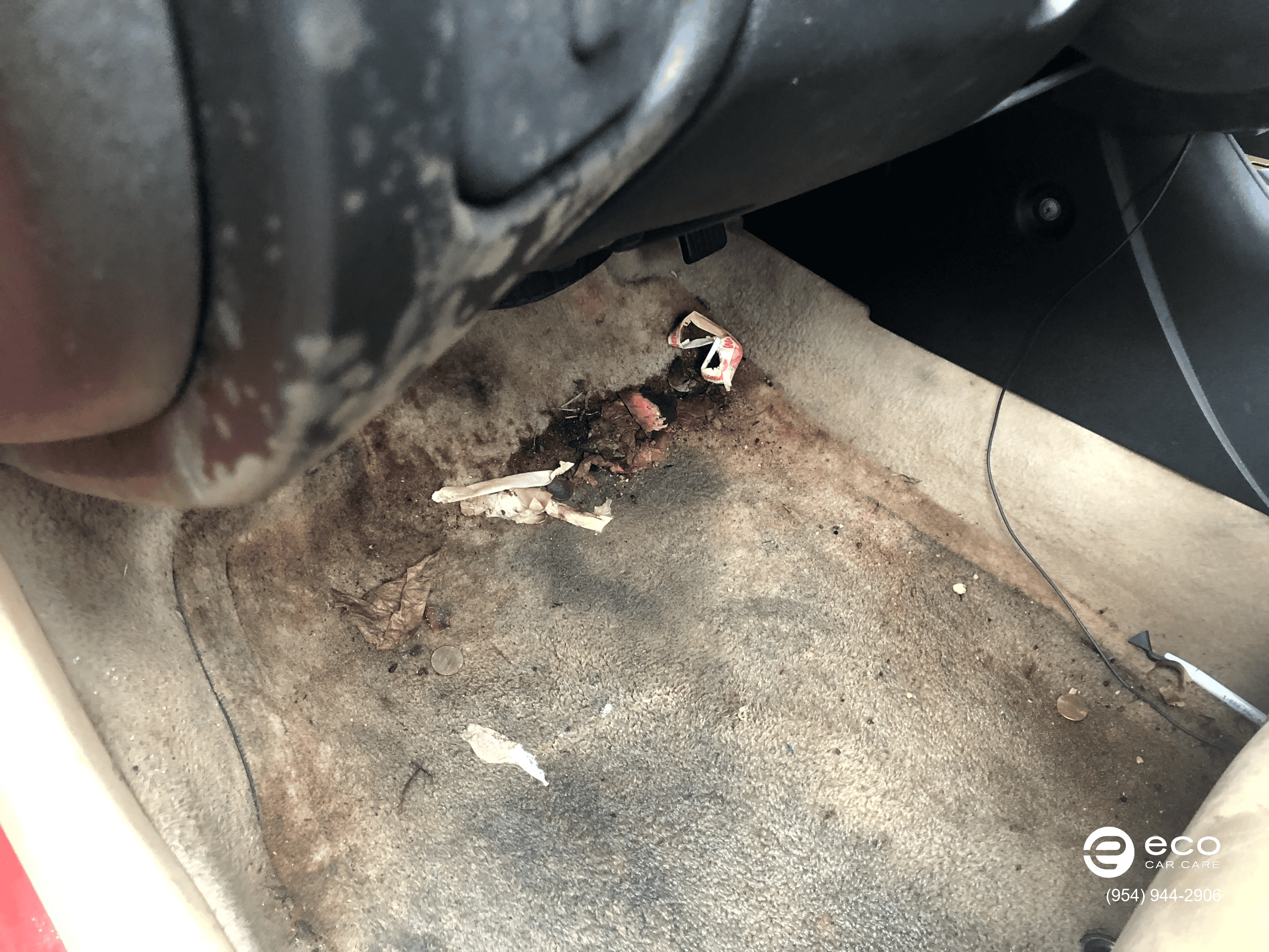 car mold removal severe