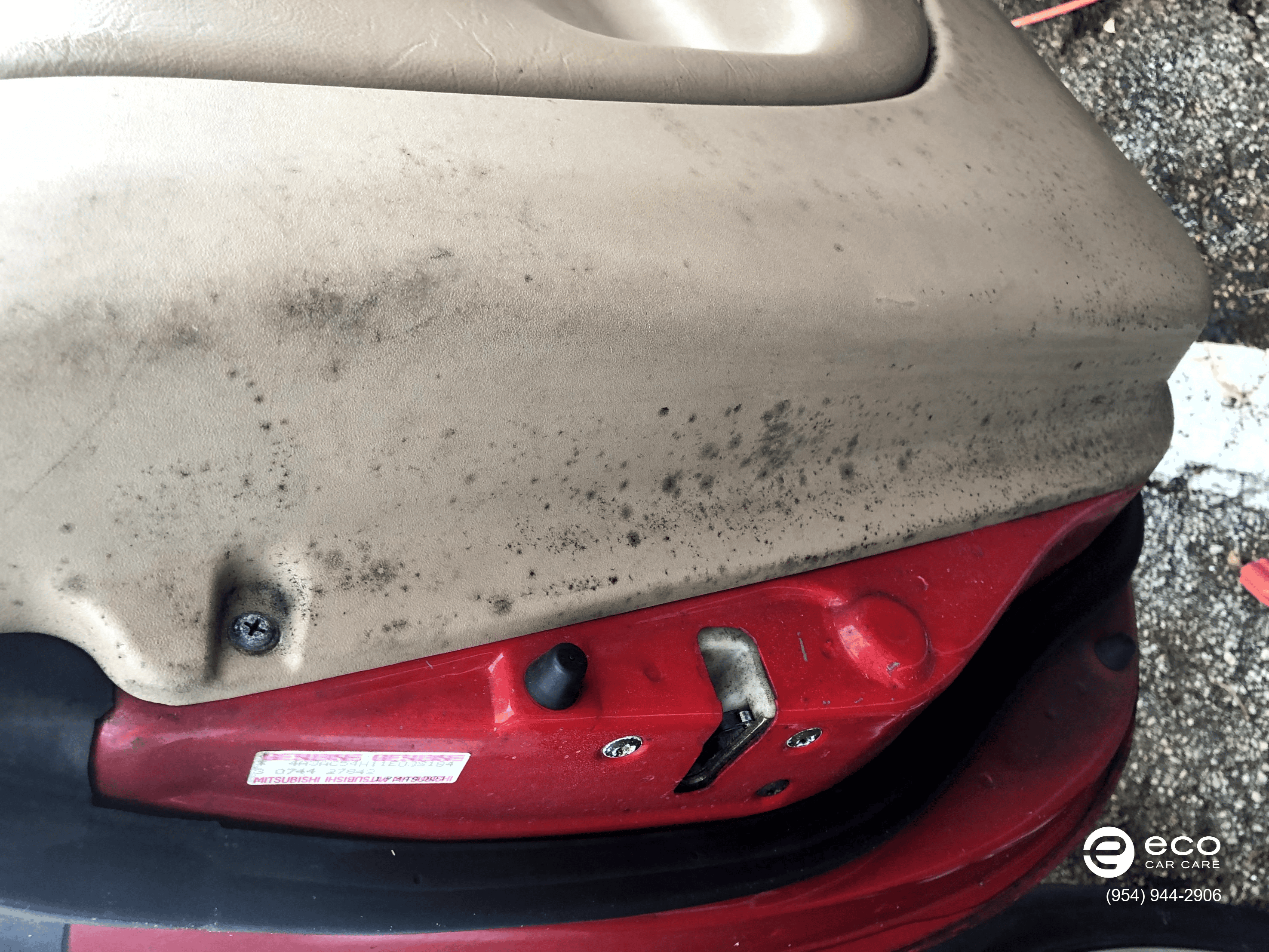 car detailing mold removal cost