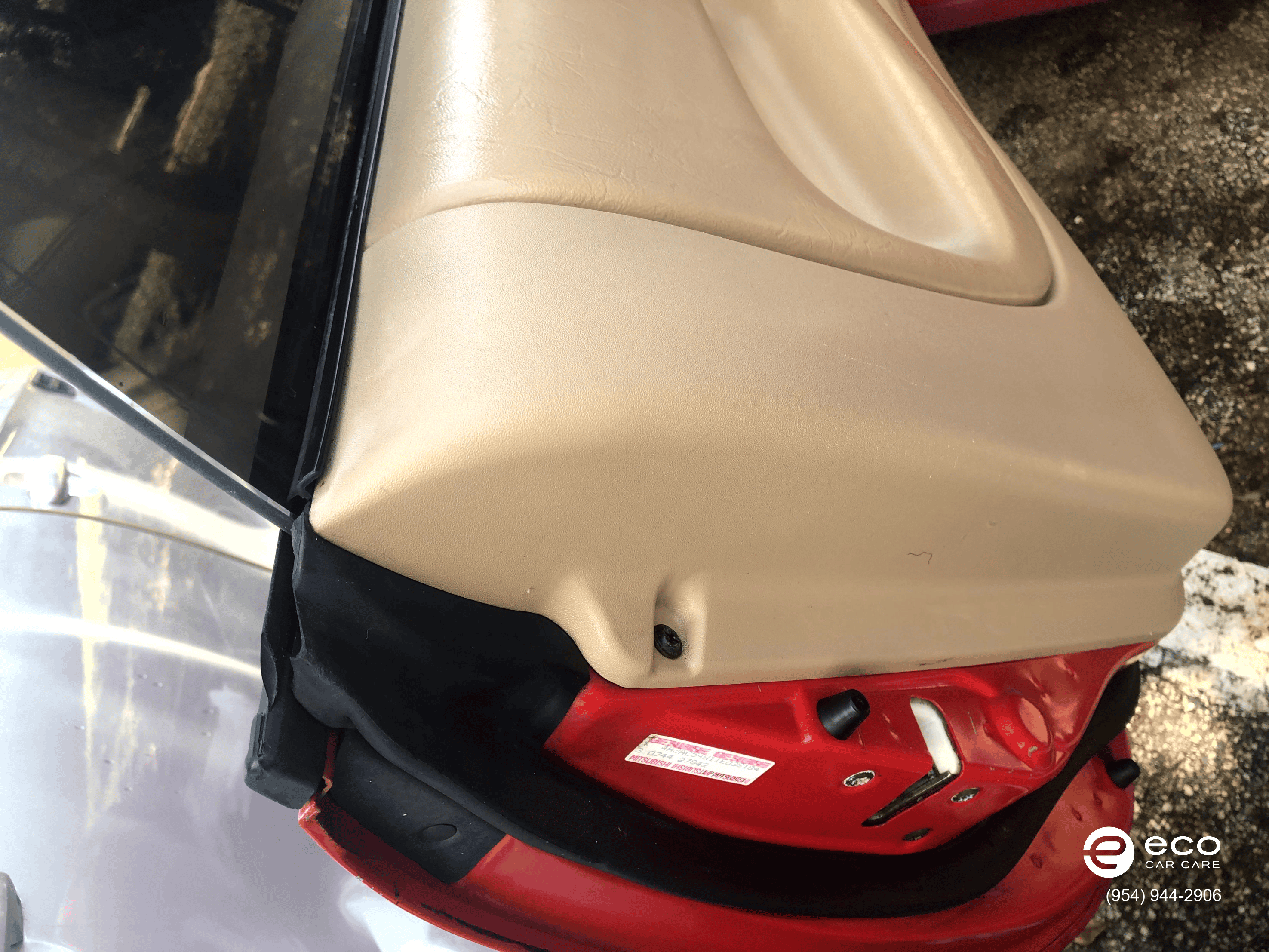 car detailing mold removal