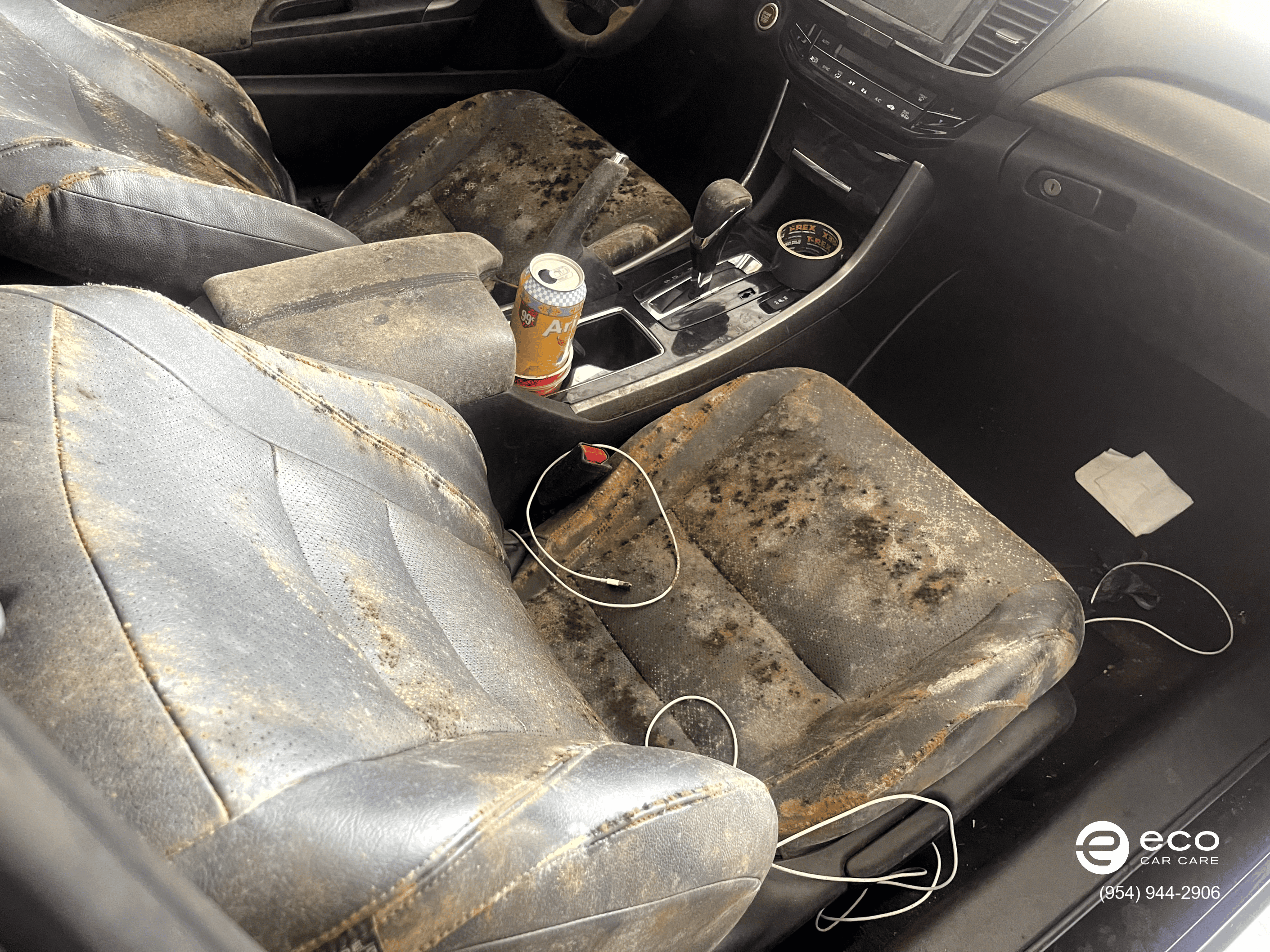 car mold removal and remediation photo collection