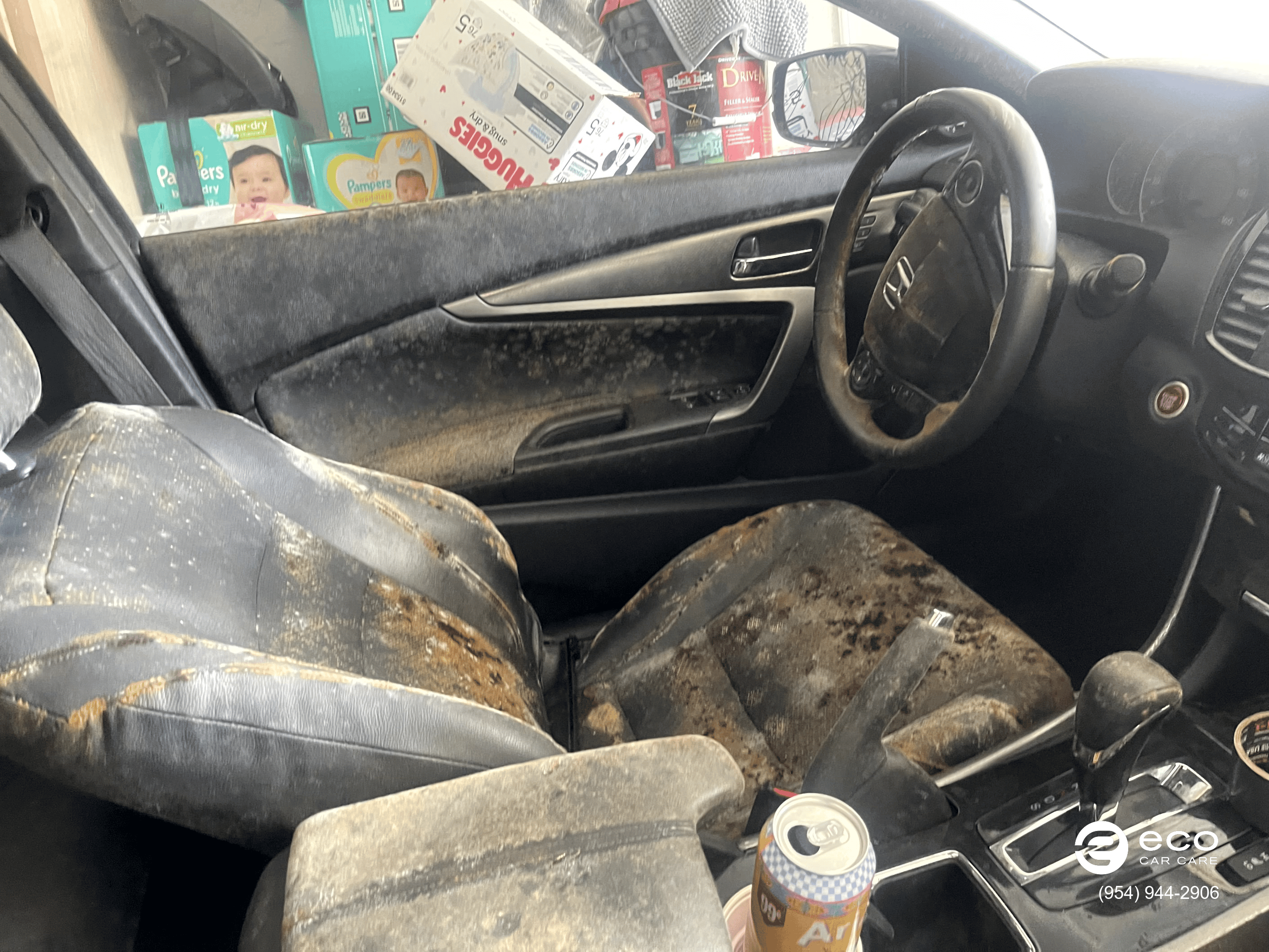 car mold removal and remediation photo collection