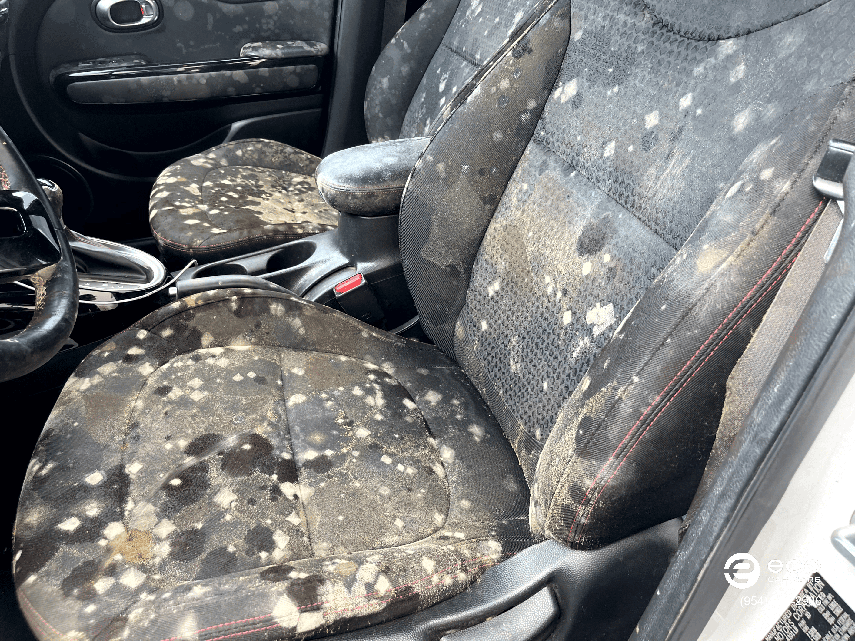 car mold removal severe