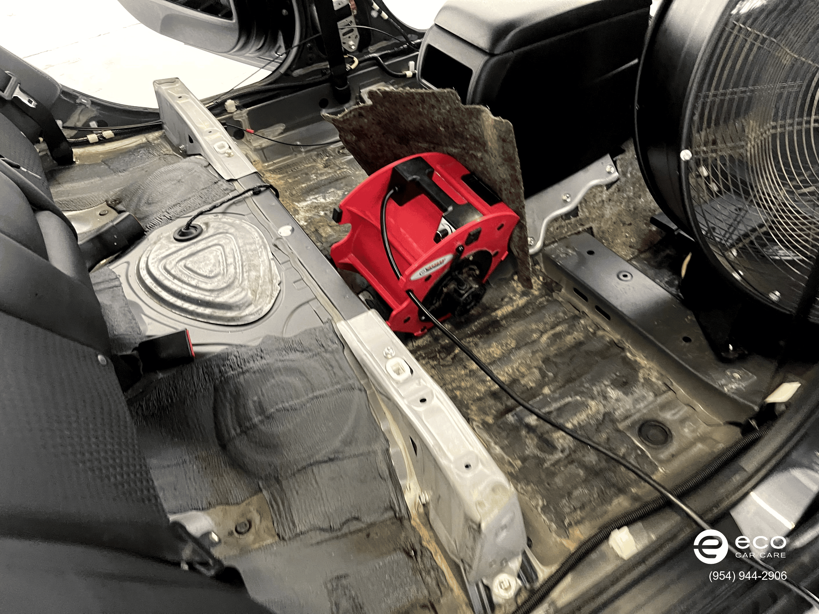 car mold removal and remediation photo collection