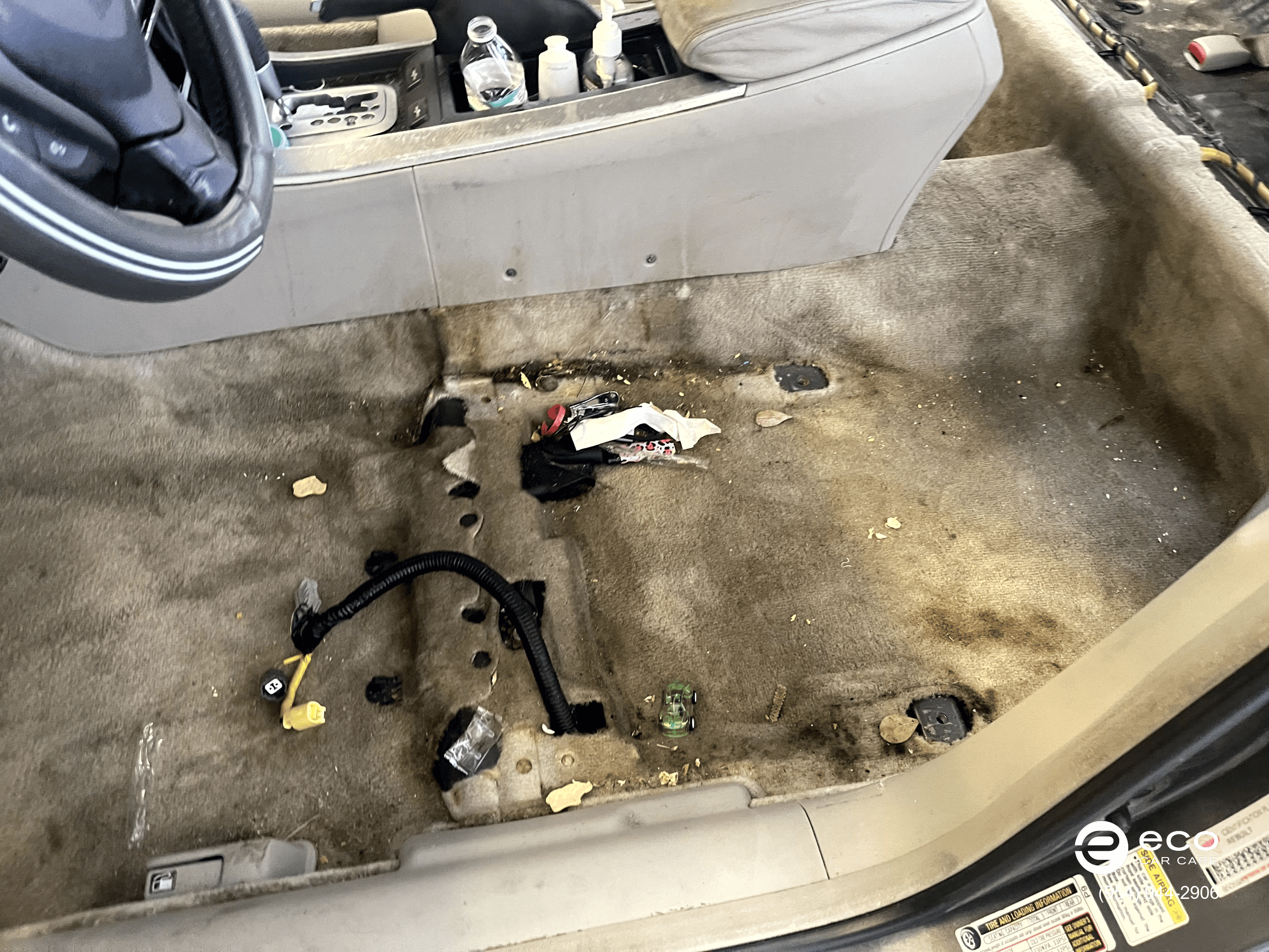 car mold removal and remediation photo collection