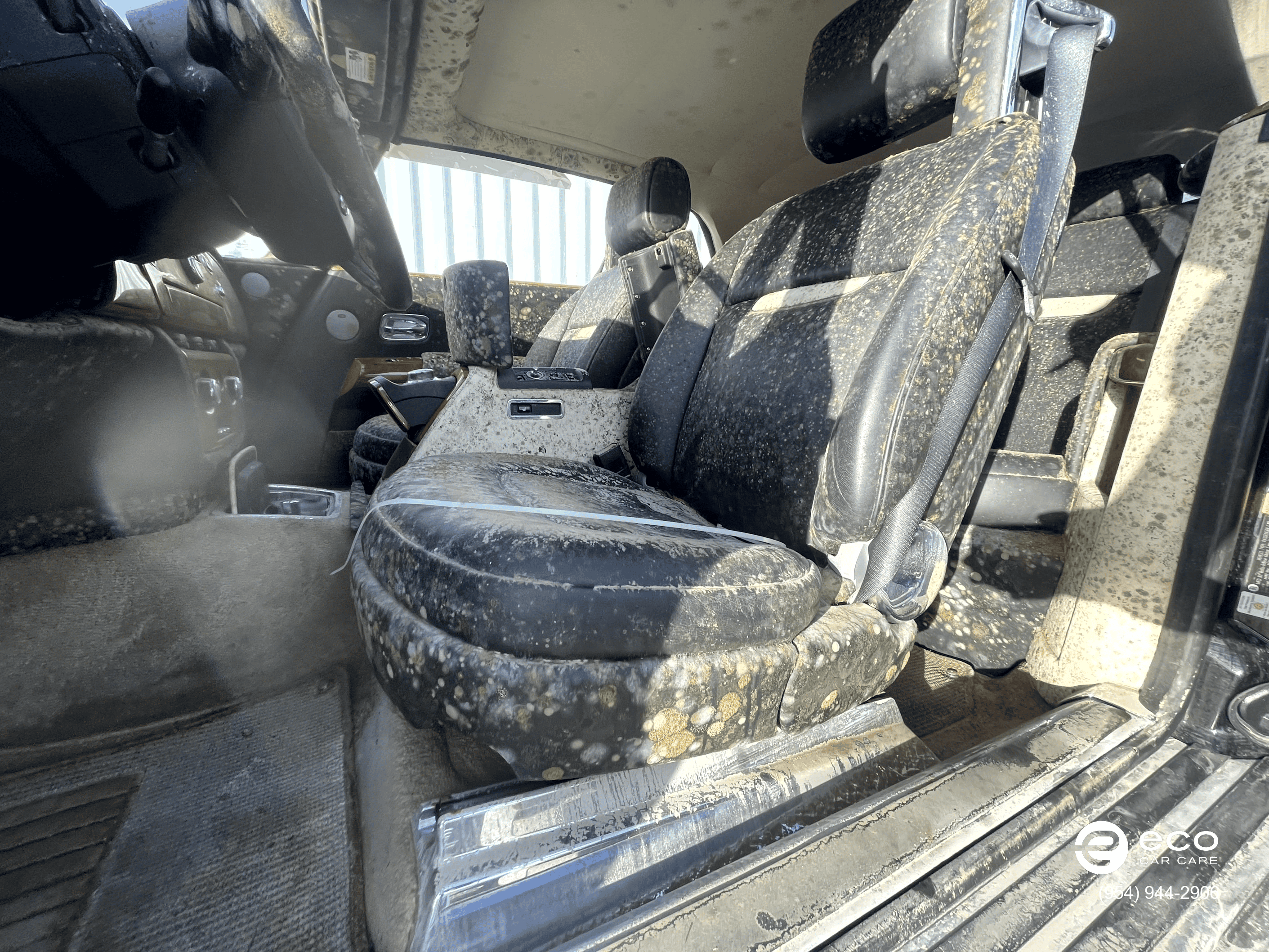 car mold removal and remediation photo collection