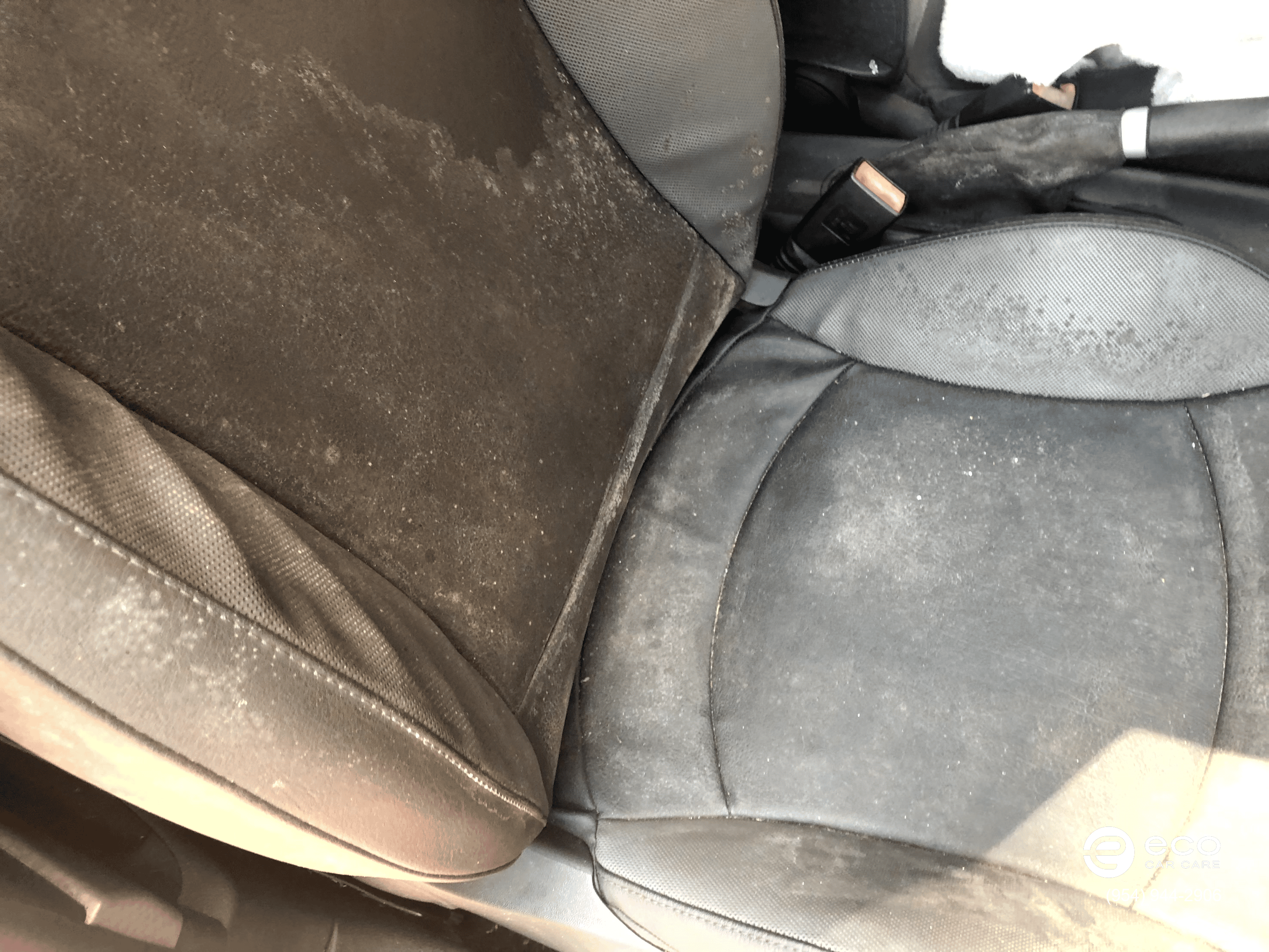 car detailing mold removal near me