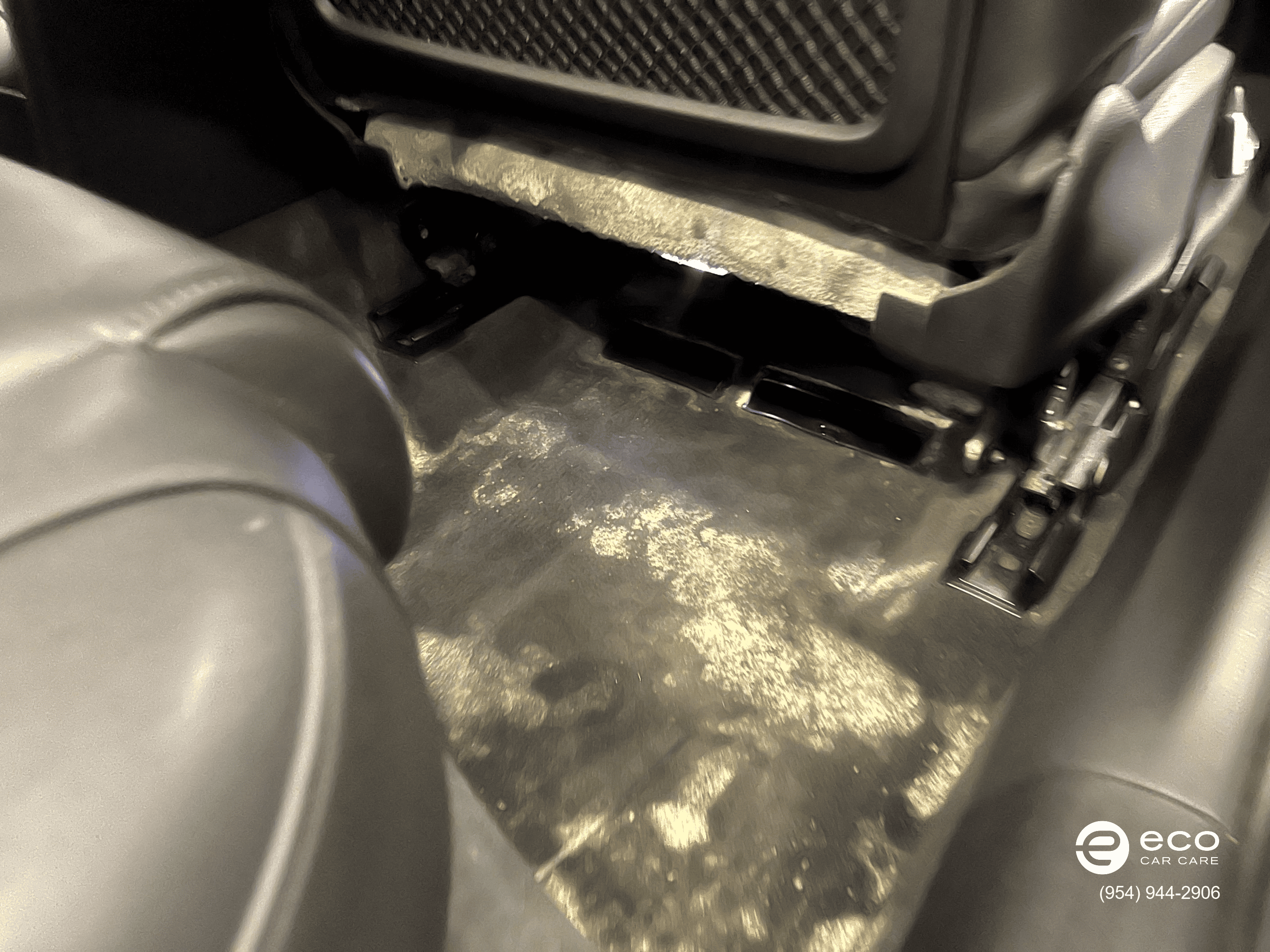 car mold removal