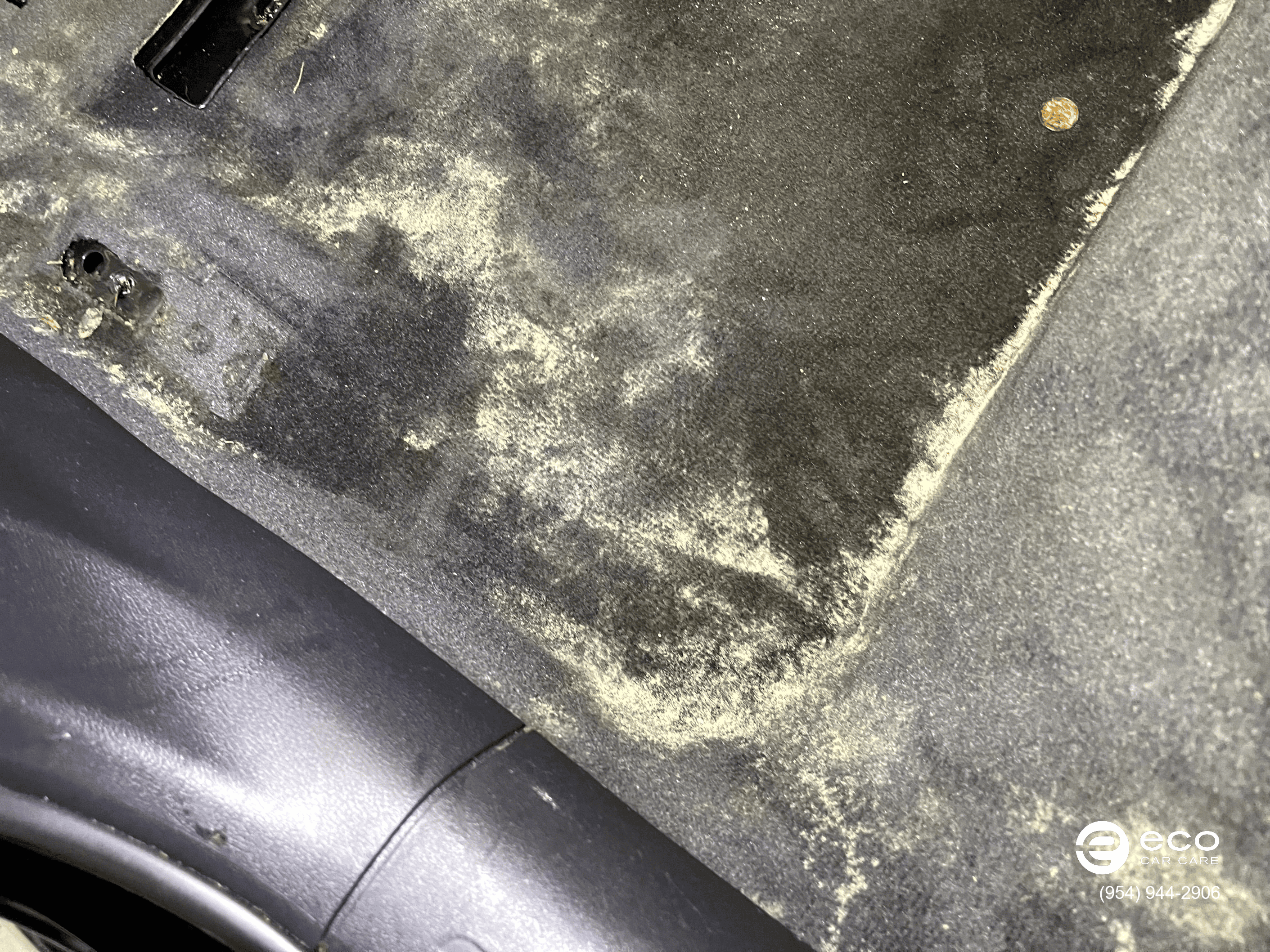 car detailing mold removal cost
