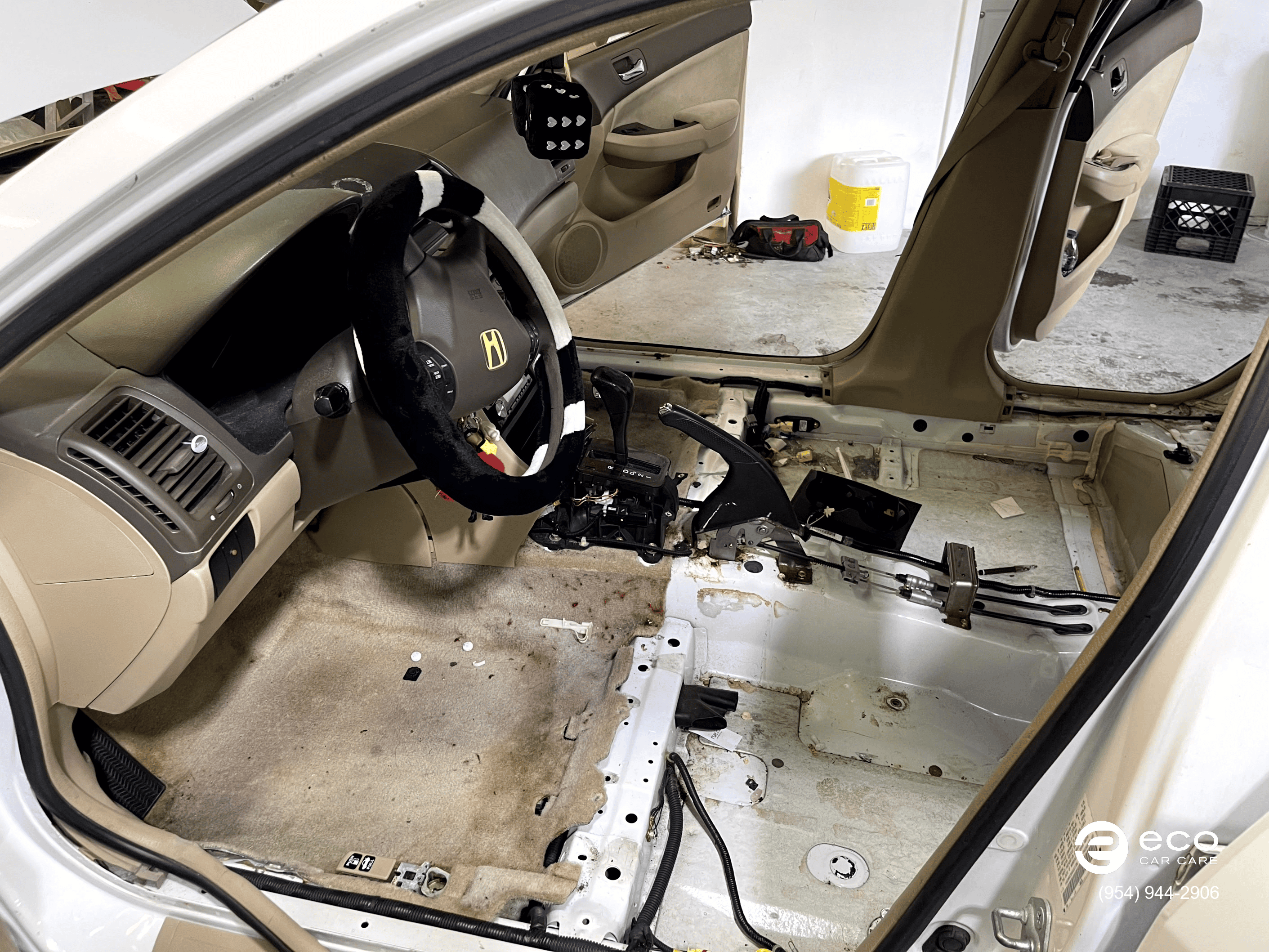 car mold removal