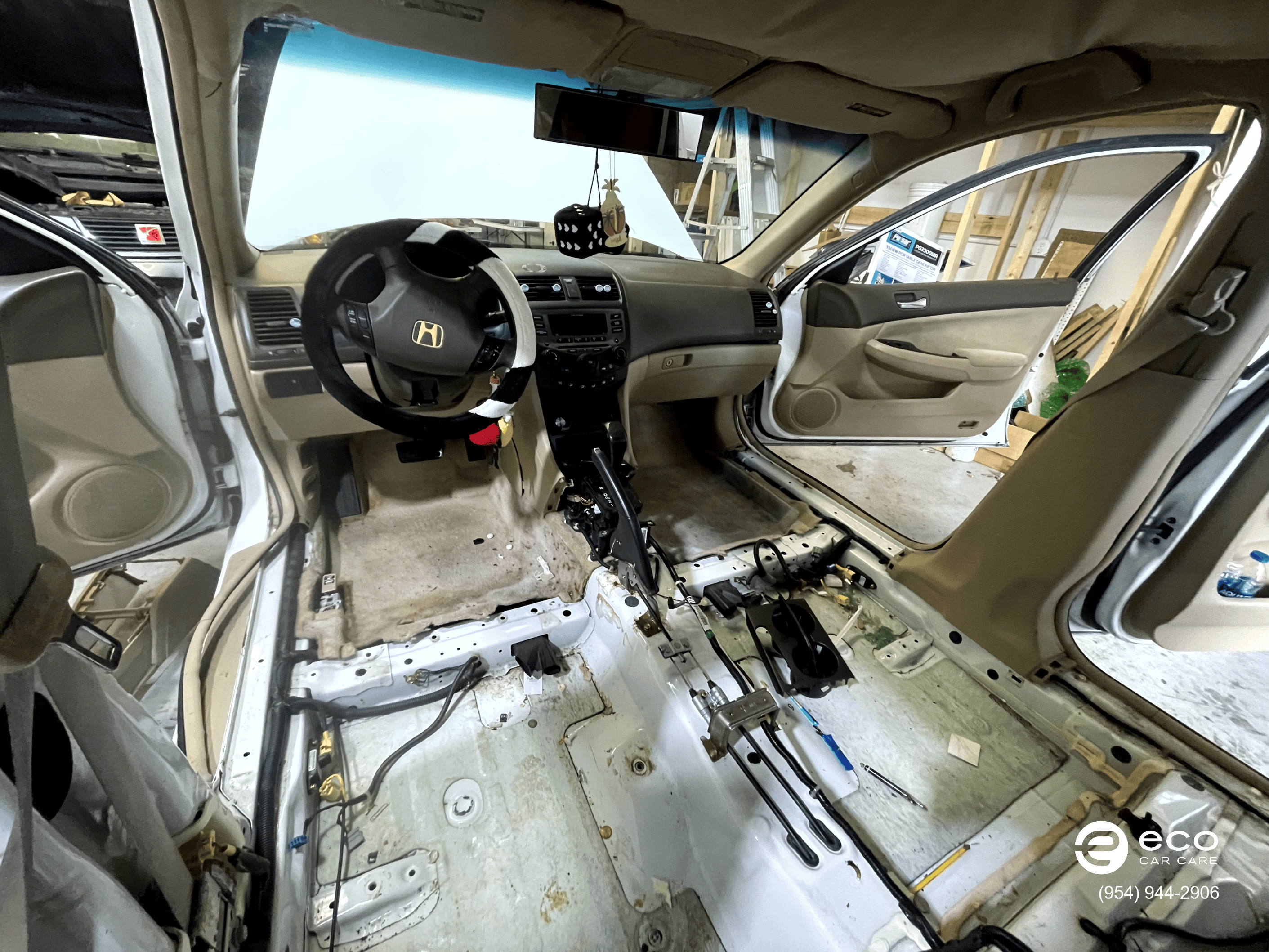 car mold removal