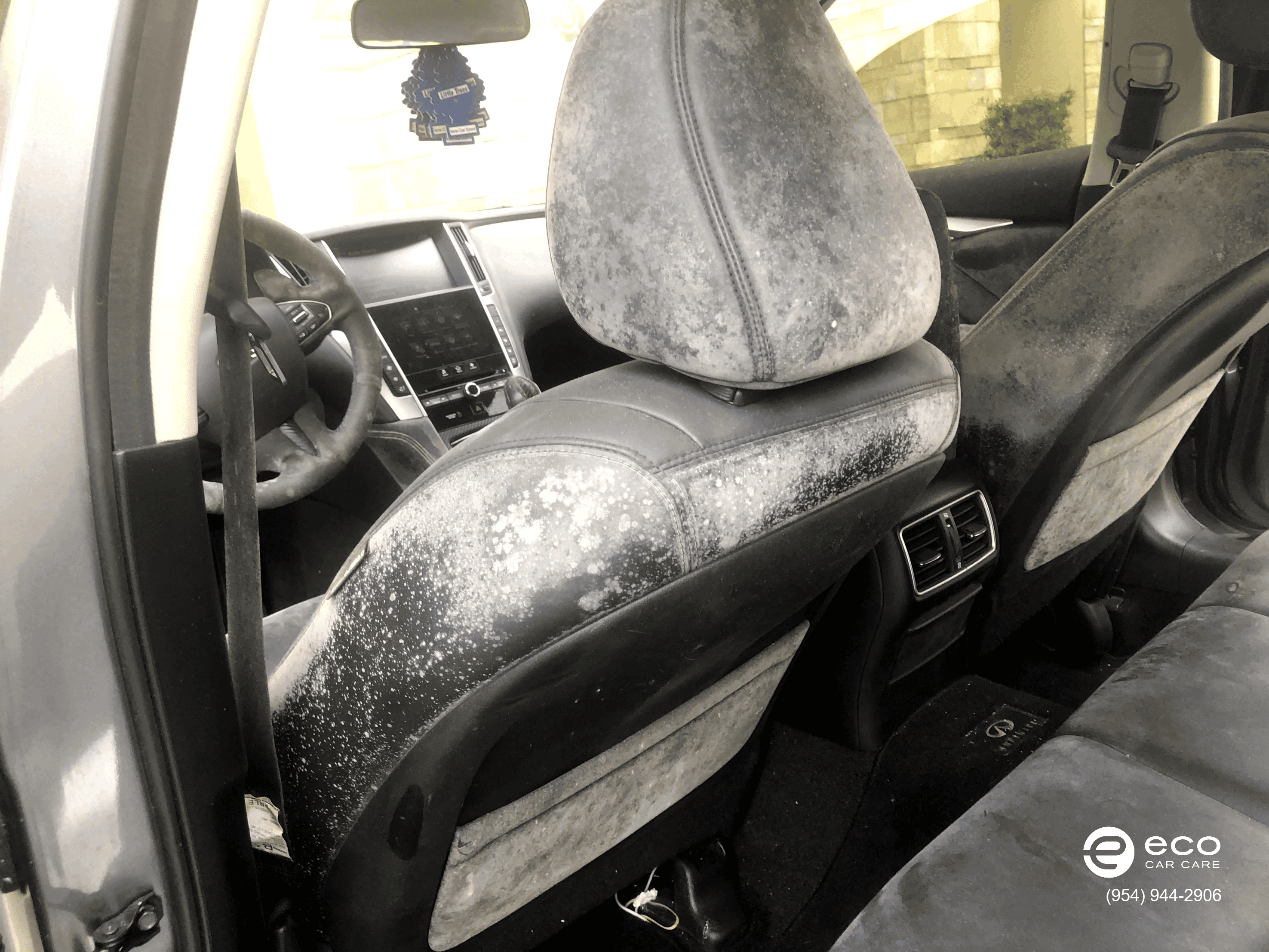 car mold removal and remediation photo collection