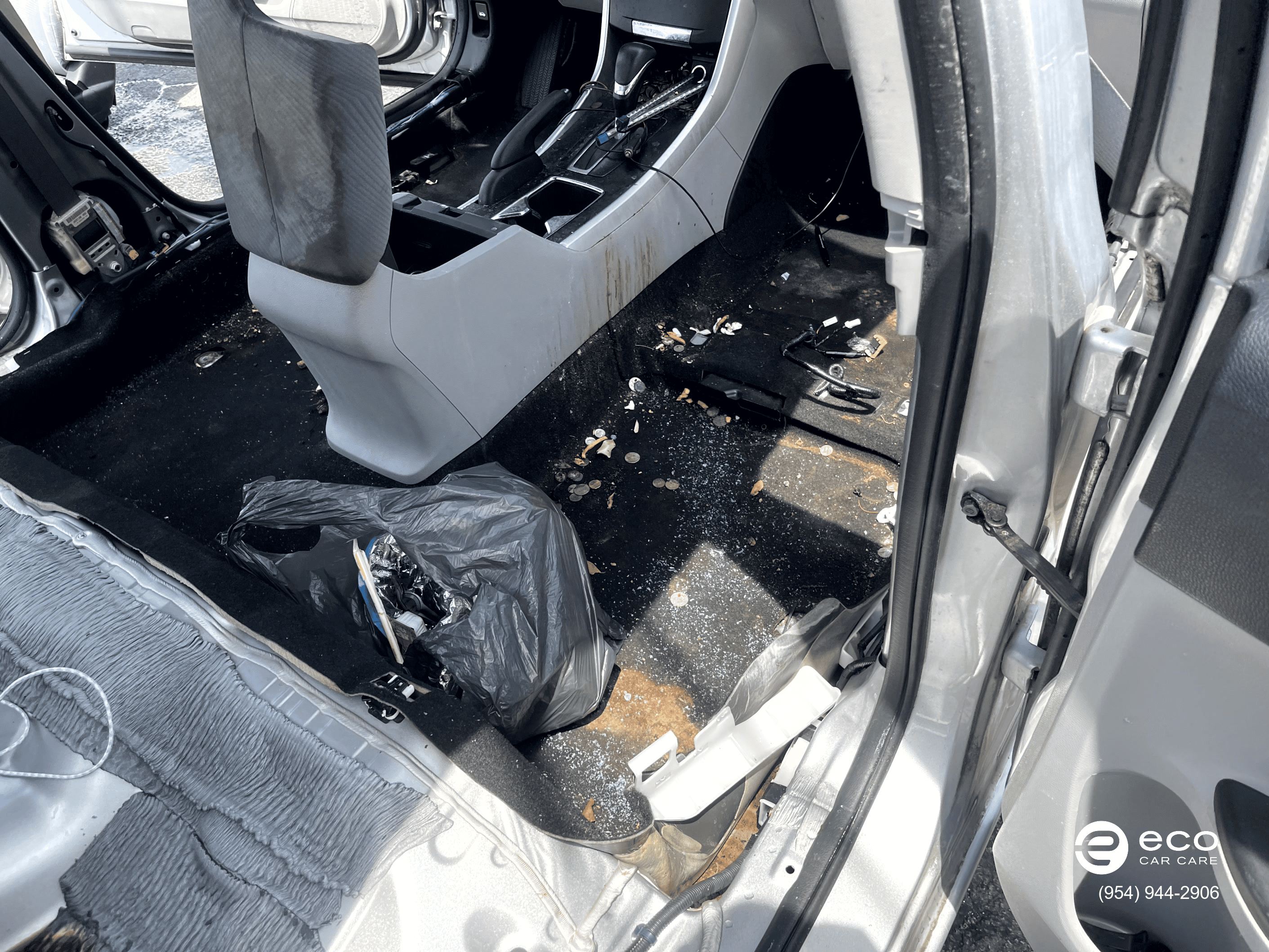 car mold removal severe