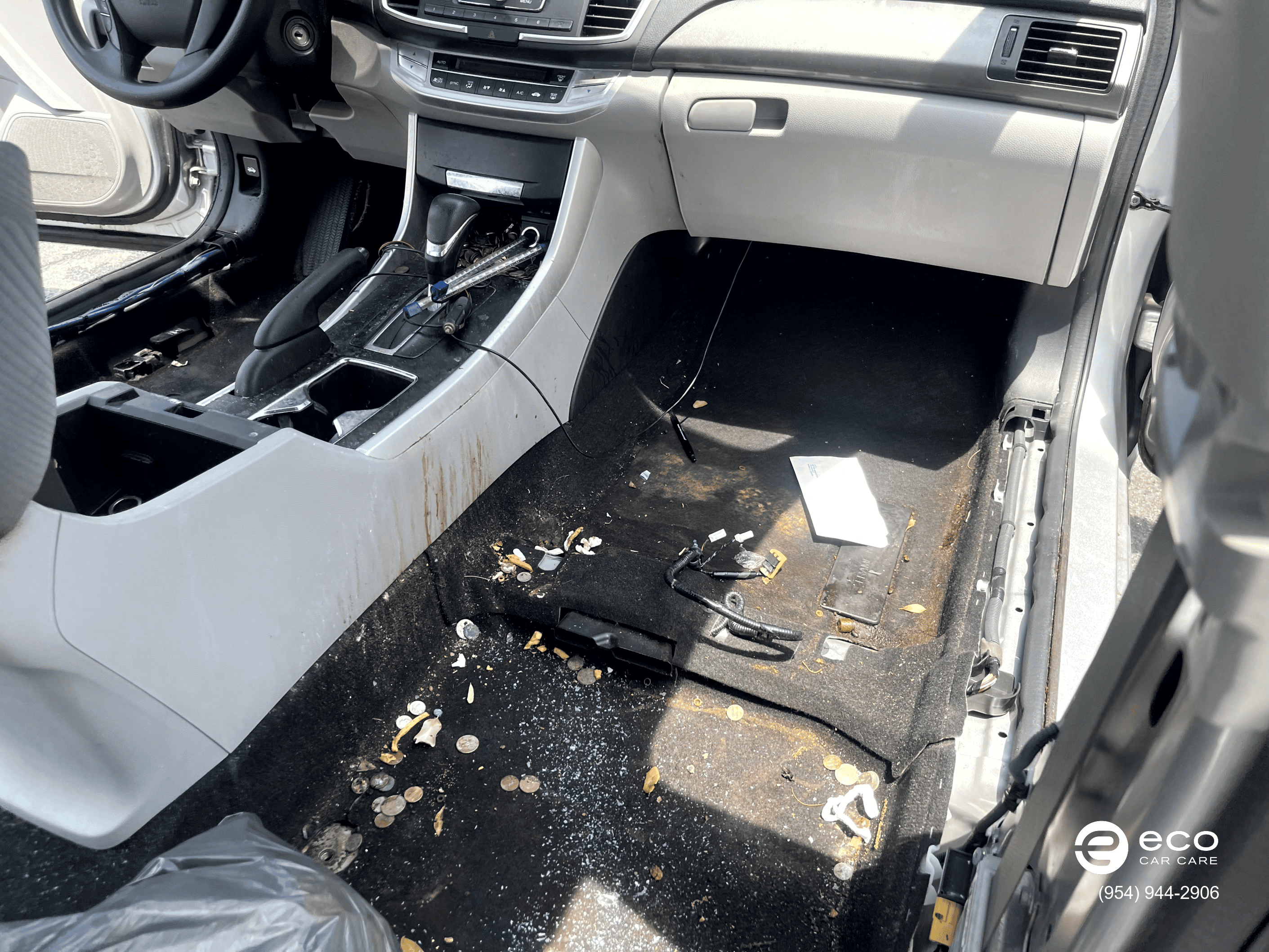 car mold removal and remediation photo collection