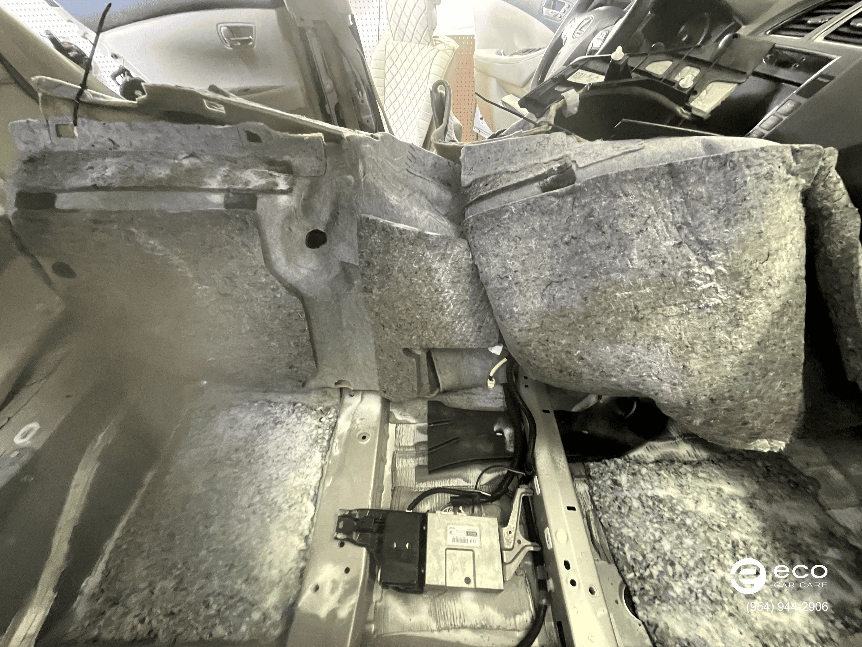 car mold removal and remediation photo collection