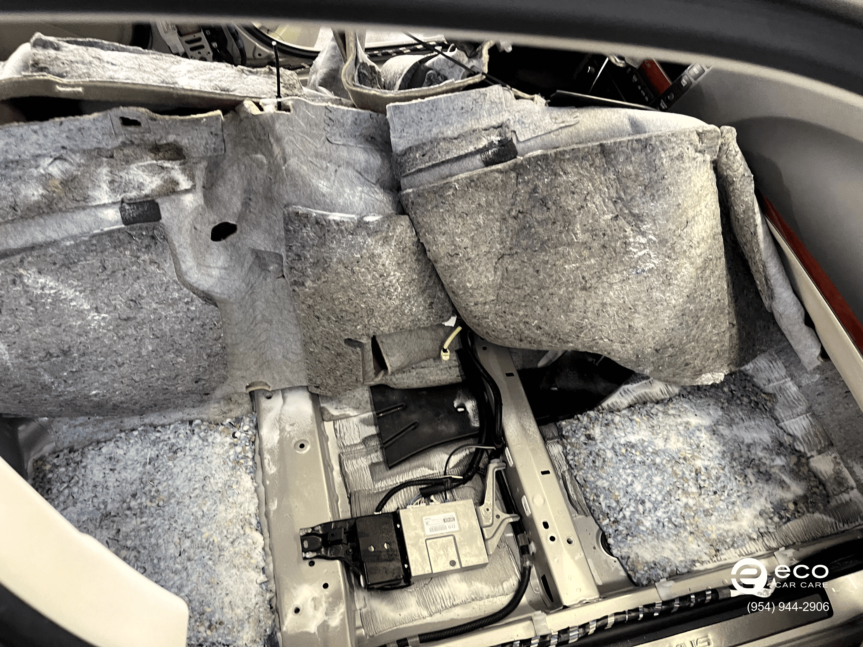 car mold removal and remediation photo collection