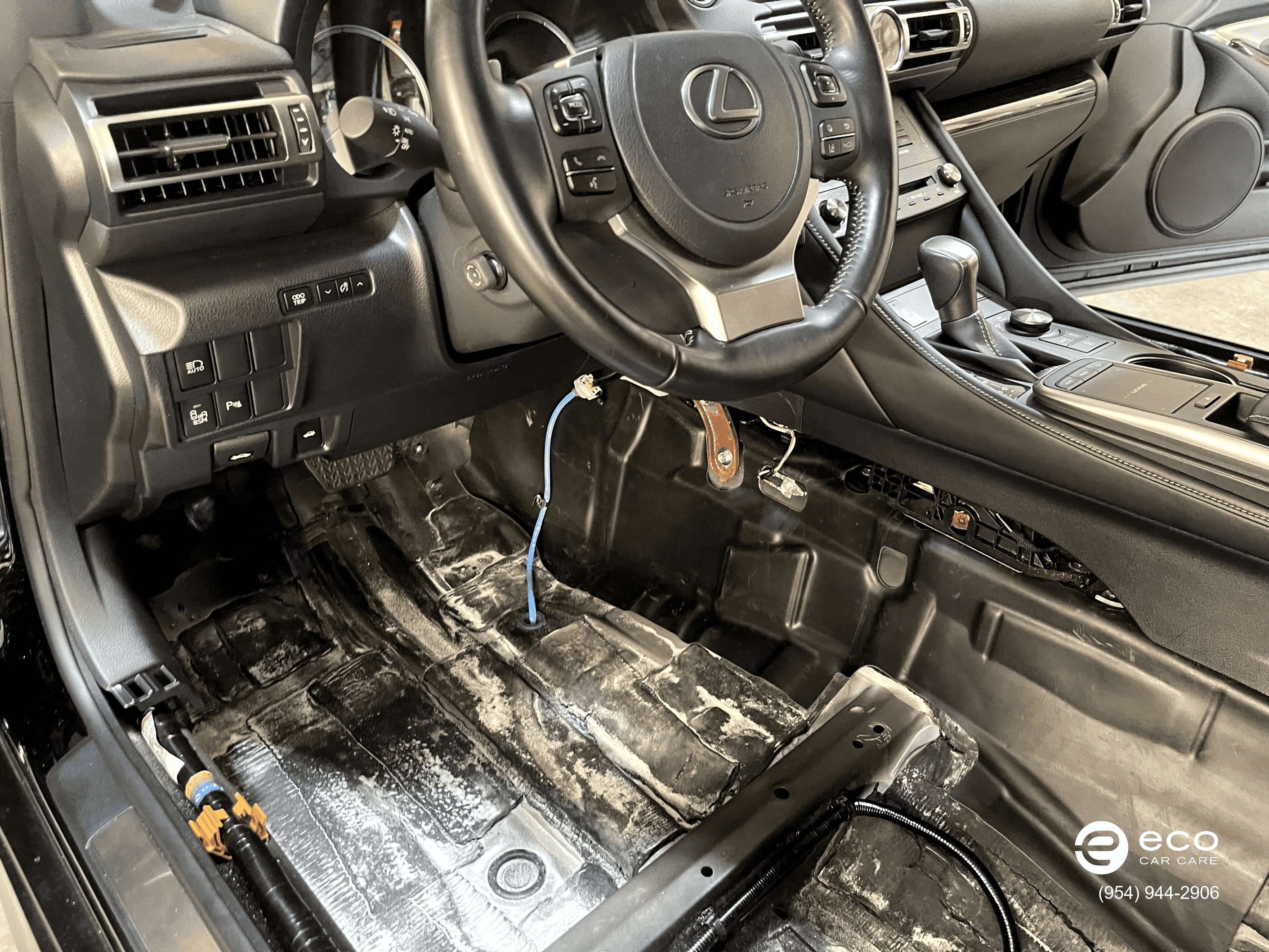 car mold removal severe