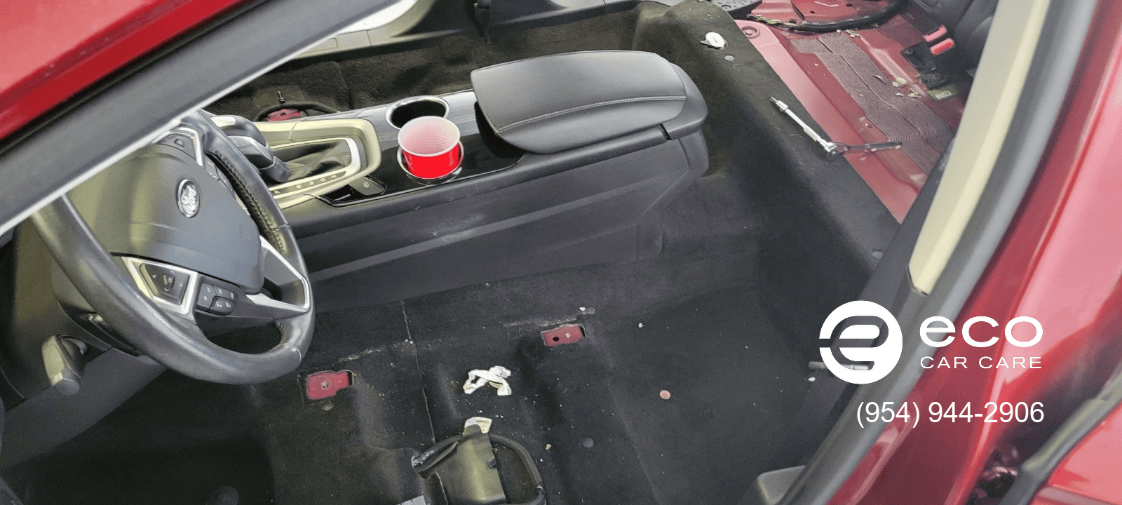 car detailing mold removal