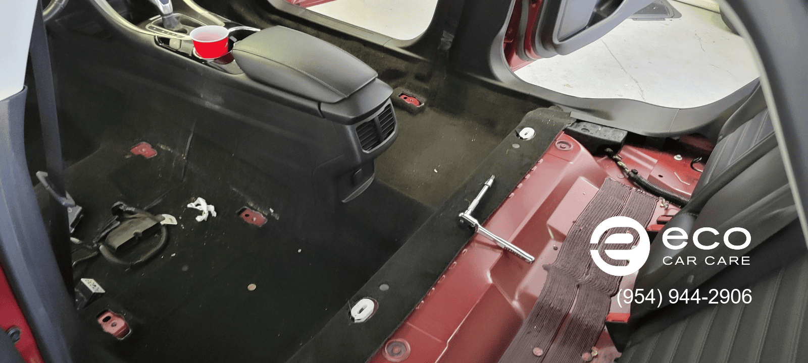 car mold removal