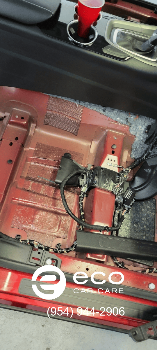 car mold removal