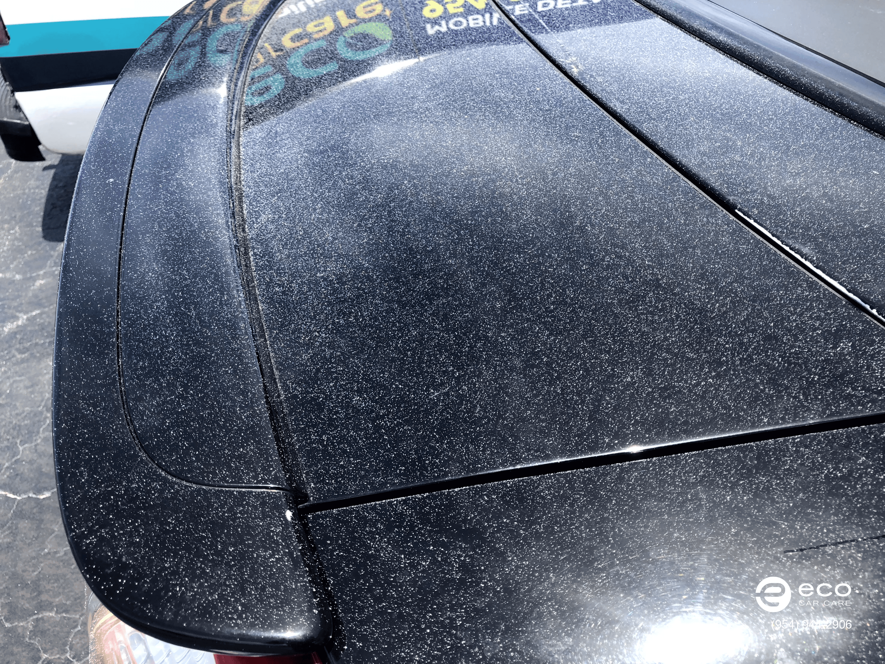 car paint concrete splatter