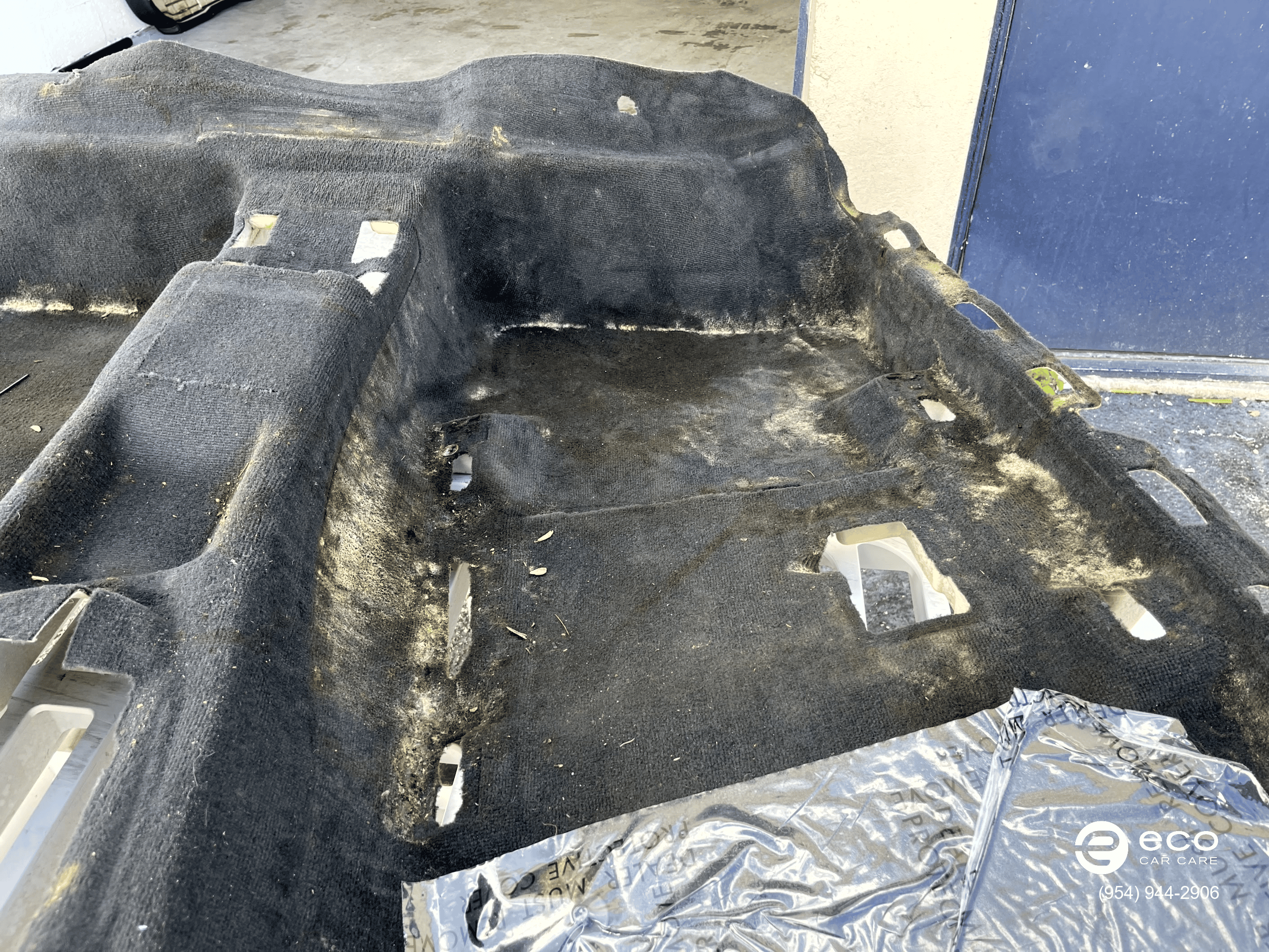 Vehicle mold removal + carpet replacement for sedans (quote)